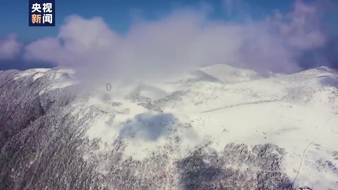 盒装纯牛奶加热的正确方法